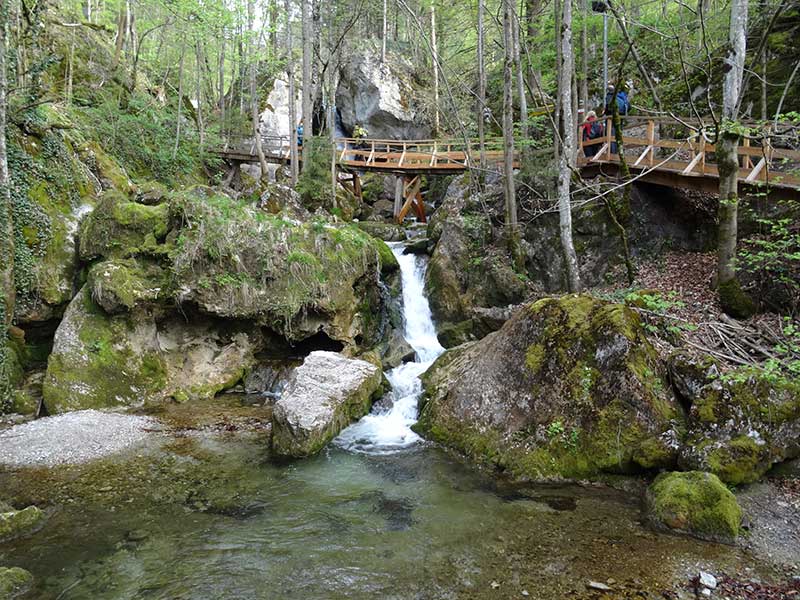 Steinwandklamm